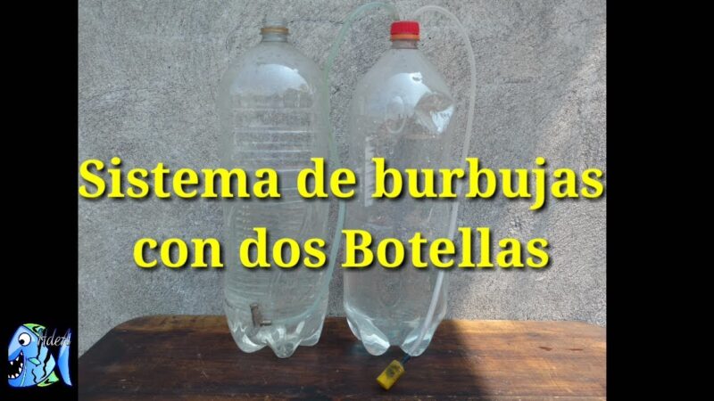 Cómo oxigenar el agua, para los peces.
