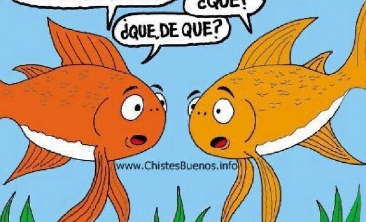 Cuál es la memoria de un pez