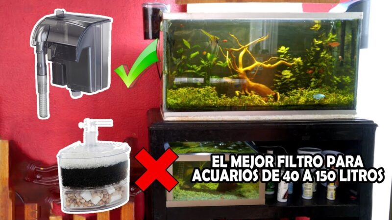 Cuántos filtros necesita una pecera