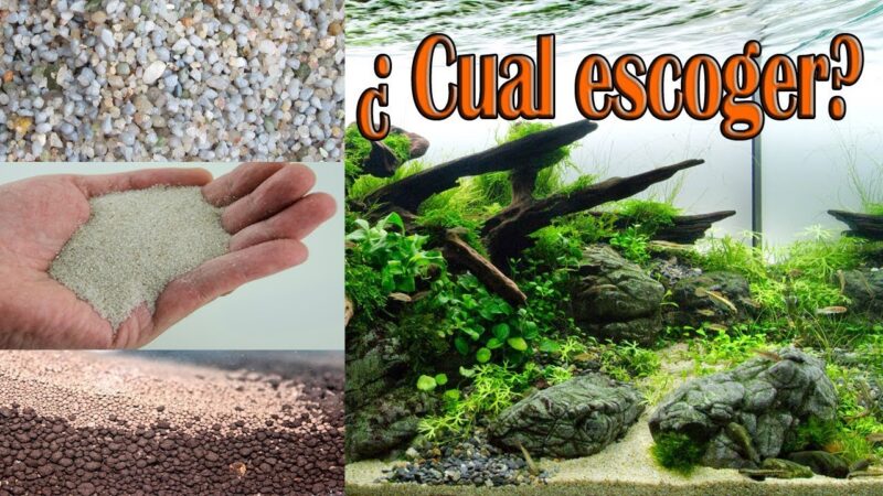 ¿Qué es mejor, las piedras o la arena en un acuario?