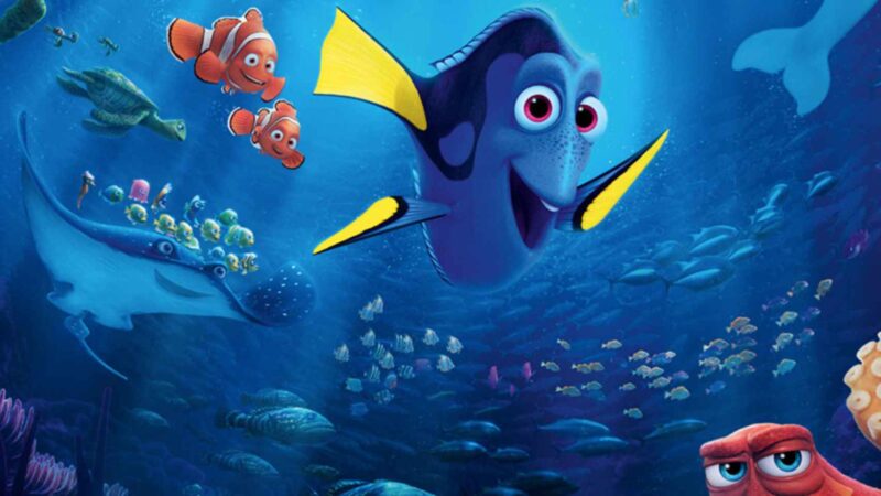 Qué pez es Dory